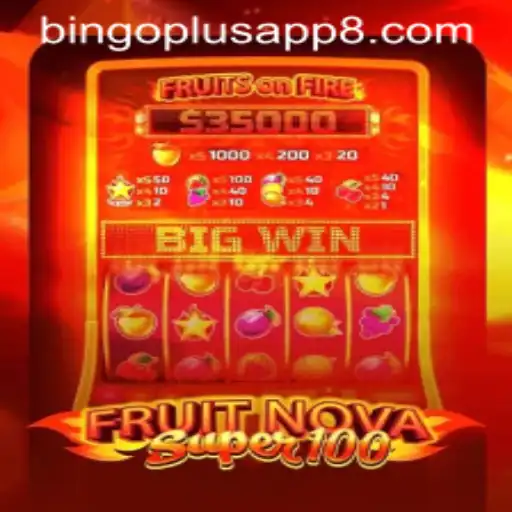 Game Exploration: FruitNovaSuper100 and the Bingo Plus App