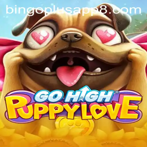 Exploring the Exciting World of GoHighPuppyLove and the Bingo Plus App
