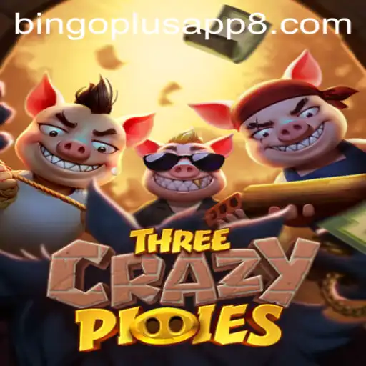 Exploring ThreeCrazyPiggies and Its Connection to Bingo Plus App